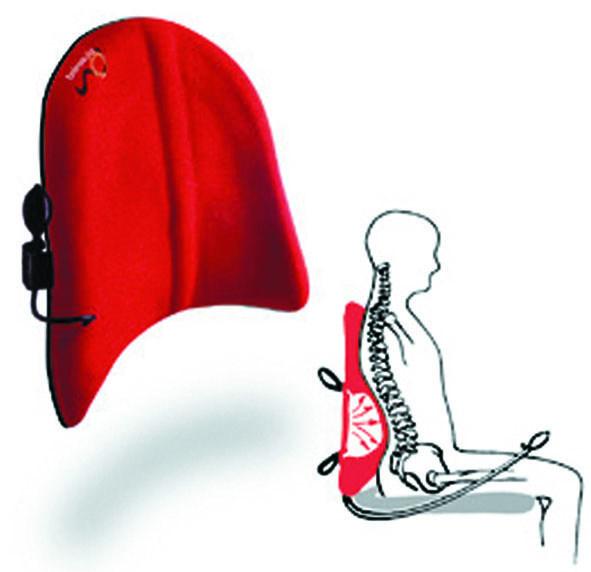 Back Support